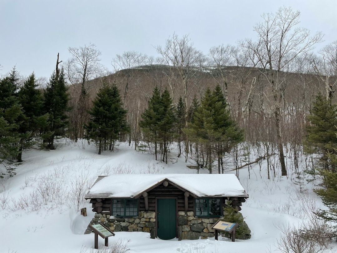 Warm wood-sided home surrounded by snow in winter