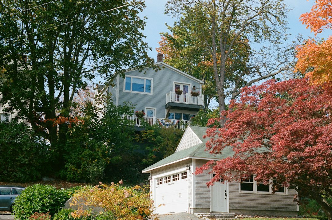 Wood-sided houses surrounded by autumn trees in Wiscasset